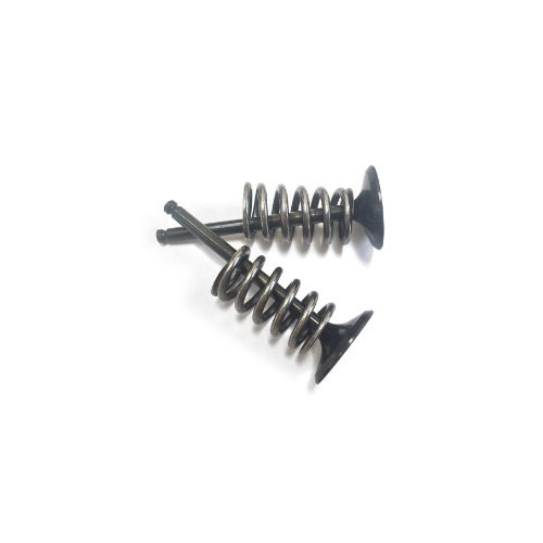 Kit de conversion de soupapes Honda CRF 250 X (04-17) admission NRTeam DS27.1334.2