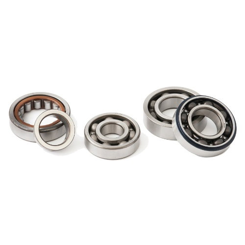 SKF.NJ206ECP