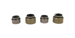 Joint de soupape XRadical (KIT)