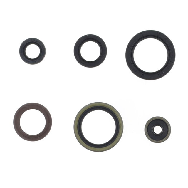 Kit de joints moteur Centauro KTM 125 XC-W (17-19) 731A669SR