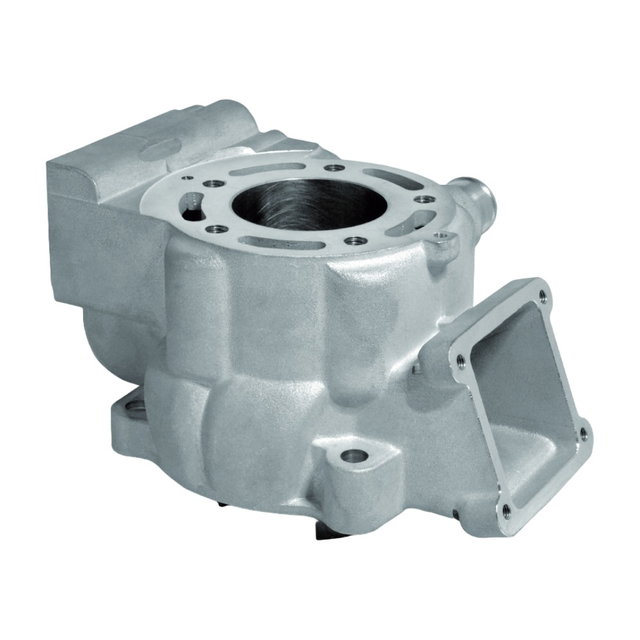 Cylindre Kawasaki KX 85 (14-27) 48,50 - Airsal A03420648