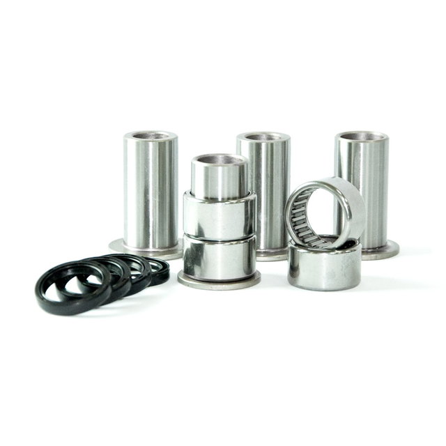 Kit de révision de bras oscillant Gasgas 300 EC (99-13) - Danidrea DA-03301