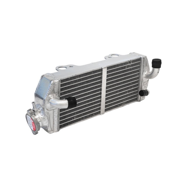 Radiateur Beta RR 250 (13-19) gauche DS16.159L