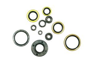 Kit de joints moteur NRTeam Kawasaki KX 250 (95-03) GK3021OS