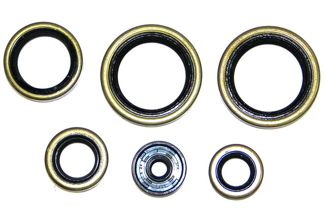 Kit de joints moteur NRTeam KTM 125 EXC (98-16) GK8009OS