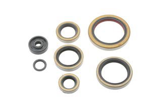 Kit de joints moteur NRTeam KTM 250 SX (00-02) GK8011OS