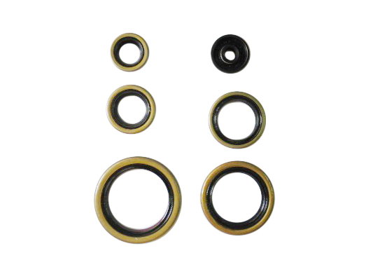 Kit de joints moteur NRTeam KTM 250 SX (03-16) GK8012OS