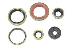 Kit de joints moteur NRTeam KTM 250 SX-F (06-12) GK8014OS