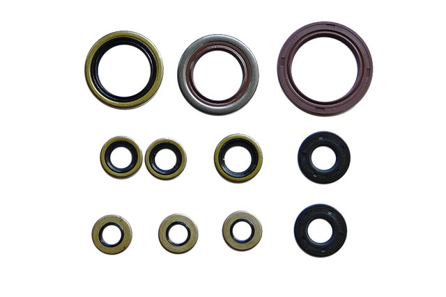 Kit de joints moteur NRTeam KTM 250 EXC-F (13-16) GK8016OS