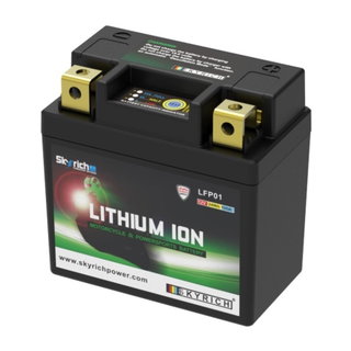 Batterie LFP01 Skyrich lithium