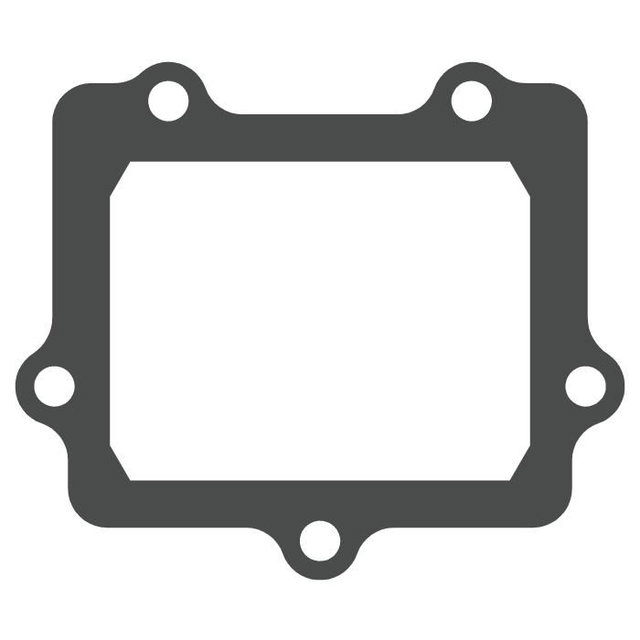 Clapet à lamelles Suzuki RM 250 (03-12) - V-Force 3 (joint seul) MTG307