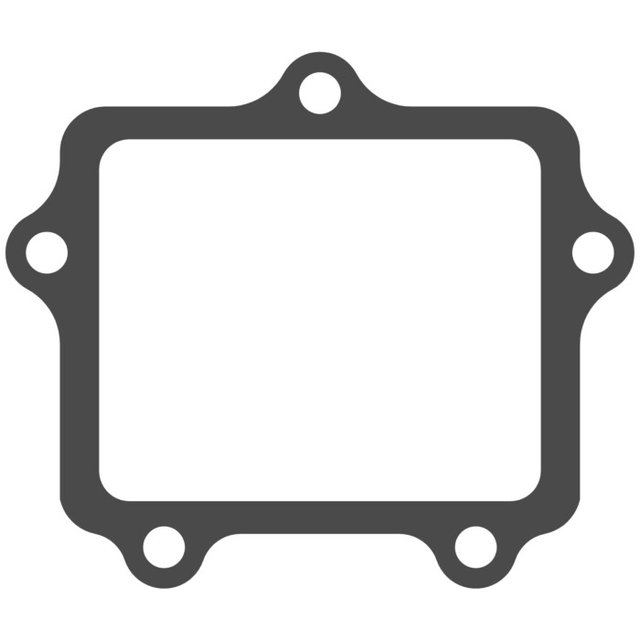 Reed valve Fantic 250 XX (22-25) - V-Force 4 X (gasket only) MTG407